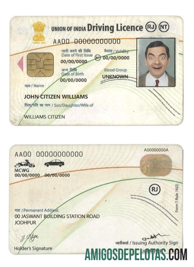 Carta de condução da Índia amostra